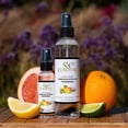 thumbnail image 3 of EuroSpa Aromatics Eucalyptus Oil Shower Mist Spray Aromatherapy with Citrus 8 Oz & 2 Oz Duo Pack, 3 of 9