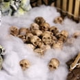 thumbnail image 5 of Eoozwa 40 PCS Halloween Mini Skull Heads Decoration, Resin Miniature Decorative Skulls Halloween DIY Resin Skeleton Head Figurines for Halloween Vase Filler Trick Toy Party Table Decor, 5 of 9