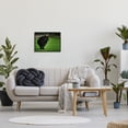 thumbnail image 5 of Stupell Industries Fuzzy Yak Looking Away Lush Grass Field Photograph Black Framed Art Print Wall Art, Design by James Dobson, 5 of 5