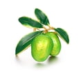 thumbnail image 1 of Zhuge 2 broches para mujer, broche de ramillete de esmalte con forma de fruta y flor, broche de cereza, arándano, fresa, gota de aceite, C03, 1 of 5