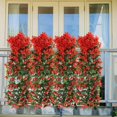 thumbnail image 4 of piezas de plantas artificiales Sayuri Rattan Ivy Vine Plant Plantas artificiales Vid Plantas artificiales Plantas artificiales al aire libre para boda Balcón Cocina, 4 of 5