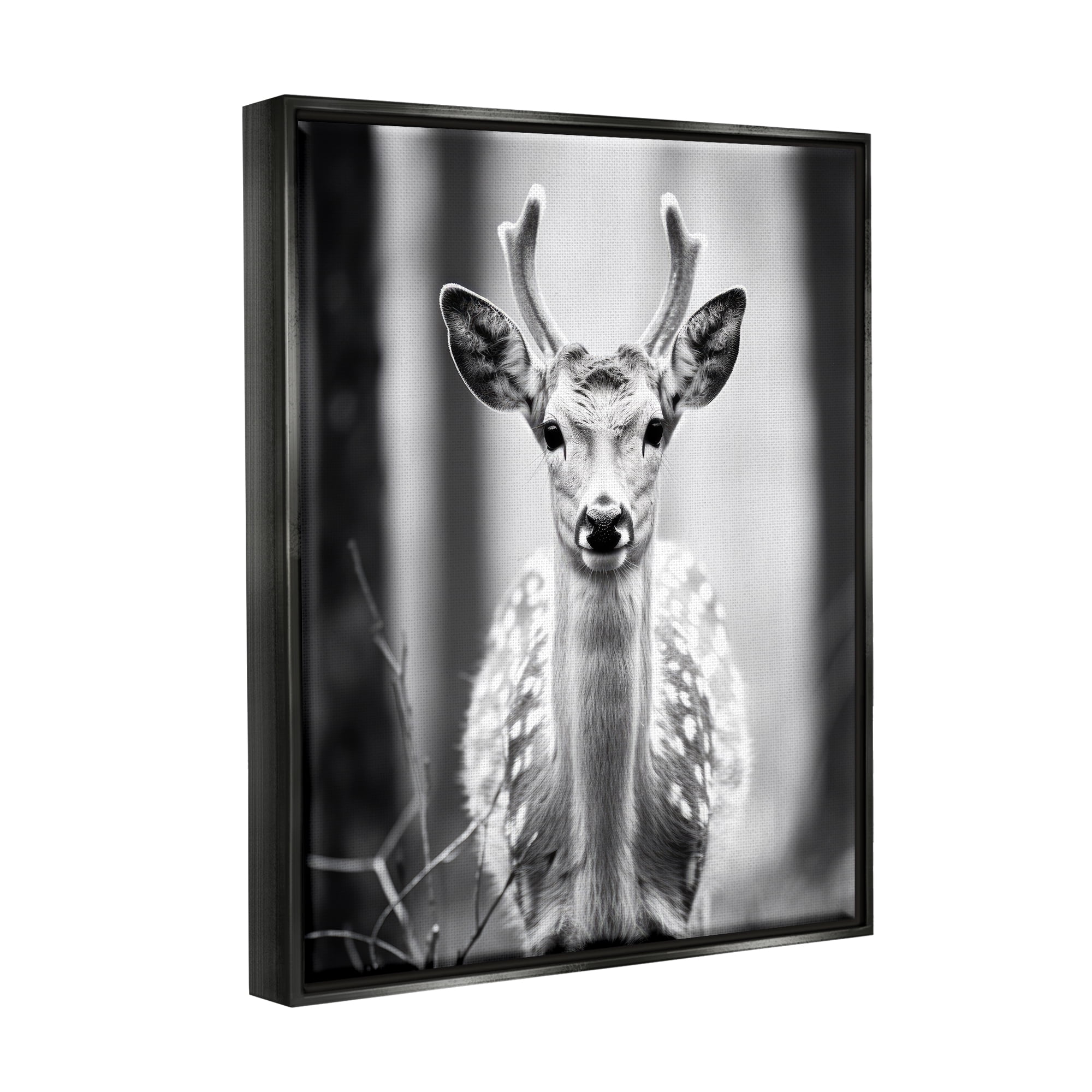 Stupell Industries Baby Fawn Photography Animals & Insects Photography Black Floater Framed Canvas Art Print Wall Art, 17 x 21