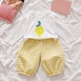 thumbnail image 2 of HCNTES Baby Girl Fall Outfit Lemon Print Long Sleeve Shirt and Yellow Gingham Pants Set for 6M-6T, 2 of 5