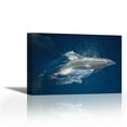 thumbnail image 1 of Bottlenose Dolphin leaping playfully, Hood Island, Galapagos Islands, Ecuador - Contemporary Fine Art Giclee on Canvas Gallery Wrap - wall décor - Art painting - 35 x 24 Inch - Ready to Hang, 1 of 2