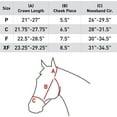 thumbnail image 5 of Equinavia Loki Adustable Breakaway Horse Halter, 5 of 5