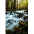 thumbnail image 2 of Head, Danny 17x24 White Modern Wood Framed Museum Art Print Titled - Autumn Trio, 2 of 4