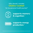thumbnail image 4 of Twinlab Choline Cocktail - Brain Health Support - Energy Supplement for Men & Women - 13.33 oz, 4 of 6