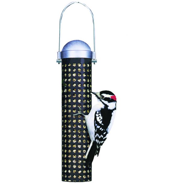 PerkyPet 10 Inch Sunflower Seed and Peanut Wild Bird Feeder Walmart