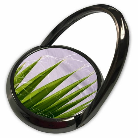 3dRose, Tropical Fan Palm Fronds , Phone Ring