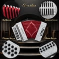 thumbnail image 5 of Rowadtim 31 Key Diatonic Accordions, 12 Bass Buttons (G/C/F Tuning) Suitable for Beginners, Adults, Performances and Teachers; Comes with  Case, Adjustable Strap, Gloves and Polishing Cloth (Gray), 5 of 8