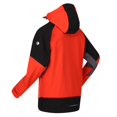 thumbnail image 4 of Regatta - Chaqueta Softshell Hewitts VII Color Sólido para Hombre (Naranja Cajún, Negro) Regatta UTRG6180_cajunorangeblack, 4 of 6