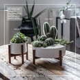 thumbnail image 2 of Set 2 Mid Century Modern Succulent Planter Large Bowl and Midi, Pots with Wood Stand and Hidden Saucer, Round Ceramic White Planters, Cactus and Plant Container with Drainage, 2 of 8