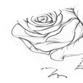 thumbnail image 5 of Ryvnso Placemats Set of 4 Roses Flowers-i5 Dining Mats Heat-Resistant Non-Slip Washable Table Mat, 5 of 8