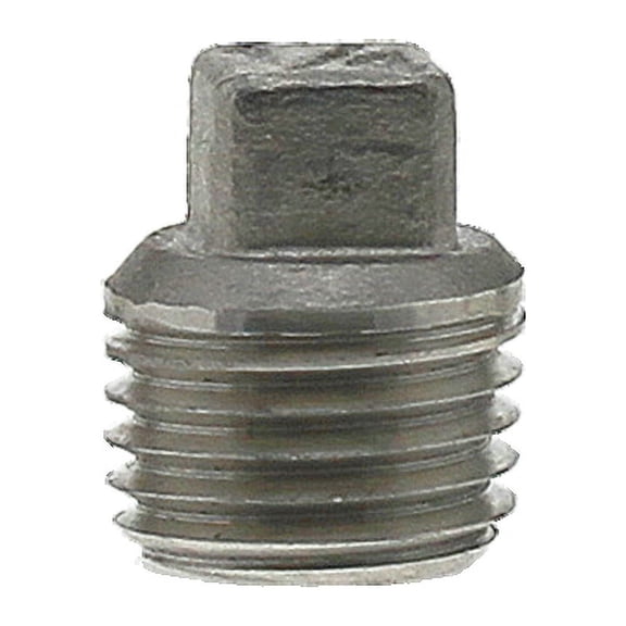 Boshart 304 Stainless Steel Plug - 1/2"