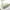 Green, variant on LHNFT Bed Pillows Queen, Fluffy Luxury Hotel Pillows Collection Gusseted for Neck and Shoulder, Side Back Stomach Sleeper Pillow, Cozy Night 14"X22"