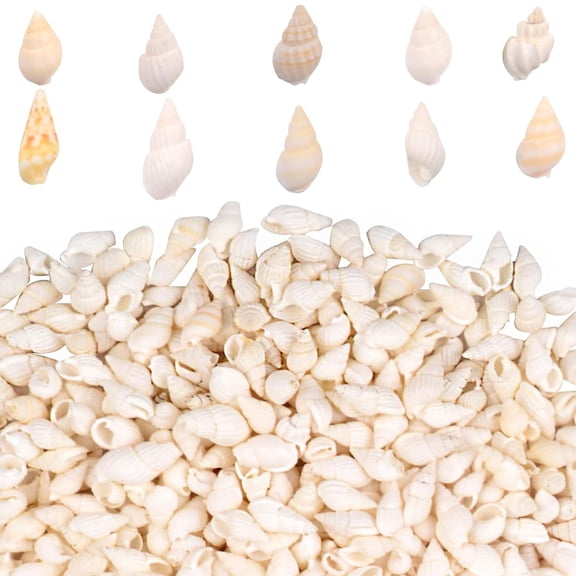 1200pcs(200g) White Mini Natural Conch Sea Shells Beach Spiral Seasnail Shell Fish Tank for Vase Fillers Ocean Themed Party Wedding Home Decor