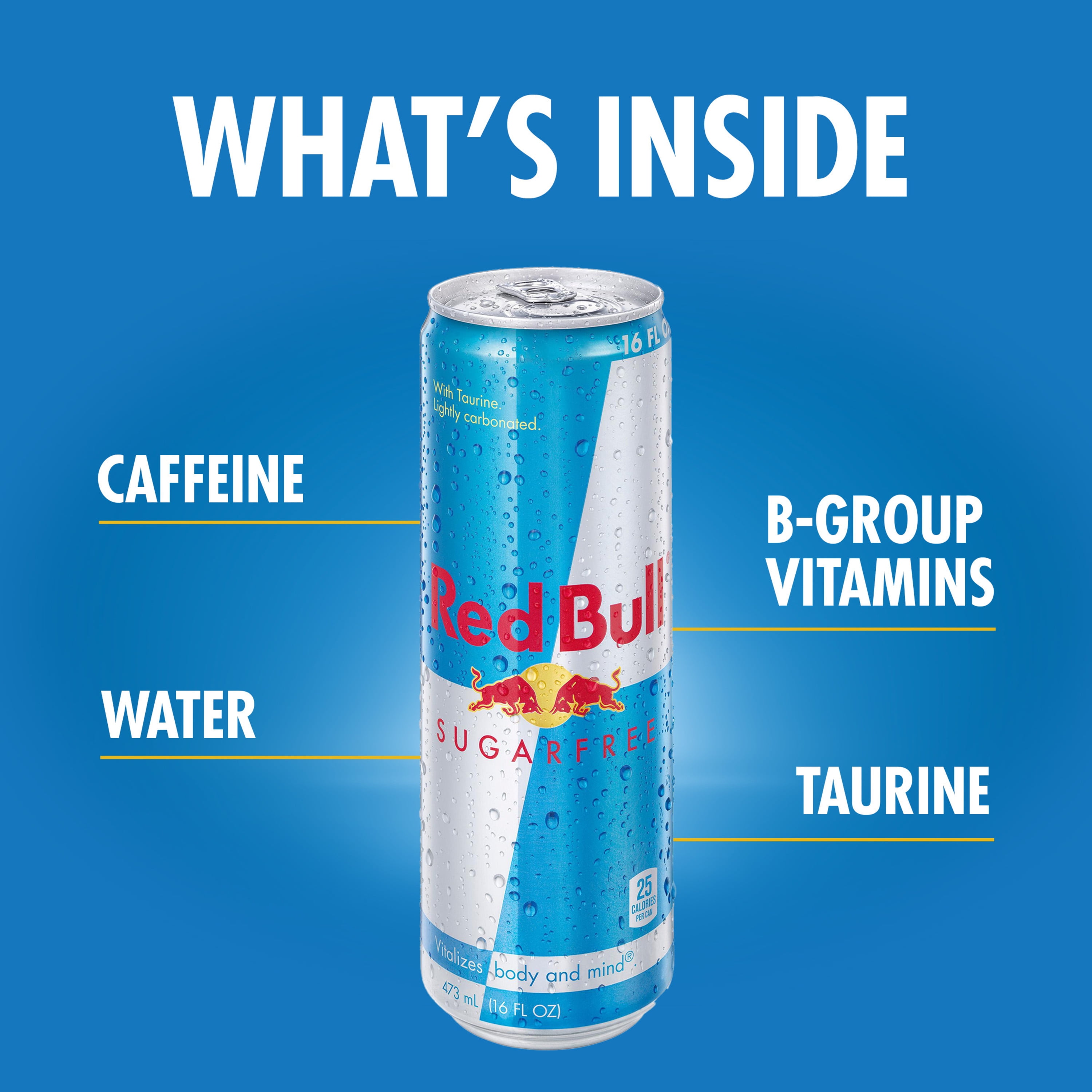 Hellere industrialisere Pastor Red Bull Sugar Free Energy Drink, 16 fl oz, Pack of 12 Cans - Walmart.com