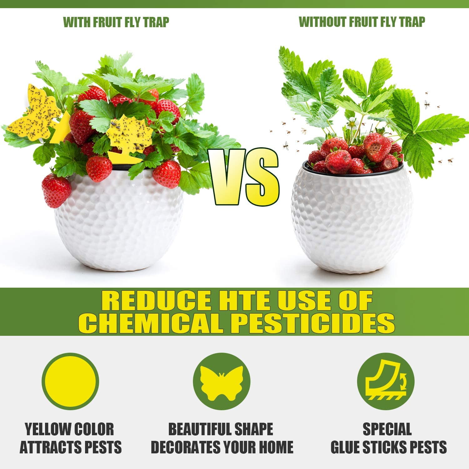 Fruit Fly and Gnat Traps