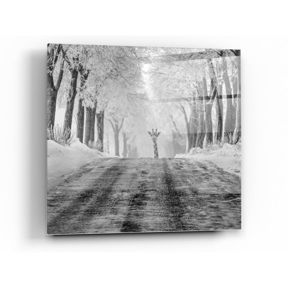 Epic Art 'Surprise' by Dariusz Klimczak, Acrylic Glass Wall Art, 36"x36"