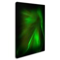 thumbnail image 2 of Trademark Fine Art "Norwegian Night" Canvas Art by Philippe Sainte-Laudy, 2 of 3