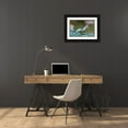 thumbnail image 3 of Fitzharris, Tim 32x23 Black Ornate Wood Framed with Double Matting Museum Art Print Titled - Green pit viper snake, 3 of 4
