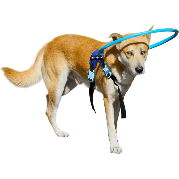 SHIQI-Blind Dog Halo Harness, Protective Halo Dog Collar for Blind Dogs, Confidence Building Harness Guiding Device, Blind Dog Accessories, Medium