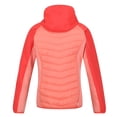 thumbnail image 2 of Regatta - Chaqueta Aislante Andreson VI para Mujer (Coral Fusión, Melocotón Neón), 2 of 4