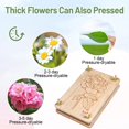 thumbnail image 3 of Kit de Prensa para Flores Suziko 27,5x17,8 cm de Madera Maciza con Diseño de Rosa, 3 of 9