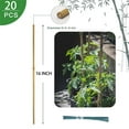 thumbnail image 4 of Triani 16 Inches Natural Garden Bamboo Sticks Longer Sturdy Garden Stakes for Indoor and Outdoor Plants Bamboo Sticks Trellis Support for Tomato, Vegetables Beans Trees Climbing Plants, 4 of 7
