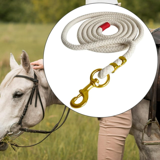 DYNWAVECA Cheval Plomb Corde Licol Corde Rêne d'Entraînement et de Marche Équipement Équestre 3.5M Beige