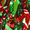 Green Red, variant on Ayieyill 33ft Tinsel Garland Hanging Christmas Tree Garland for Christmas Tree Decorations Indoor, Iridescent