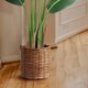 thumbnail image 2 of QinaQin Planta artificial Ave del Paraíso de 48 pulgadas con maceta, hojas tipo plátano para decoración de sala, oficina o interior, 2 of 7