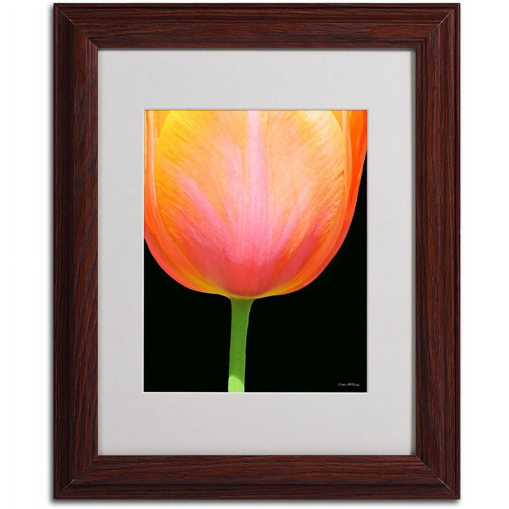 Trademark Fine Art "Orange Tulip" Canvas Art by Kathie McCurdy, Wood Frame