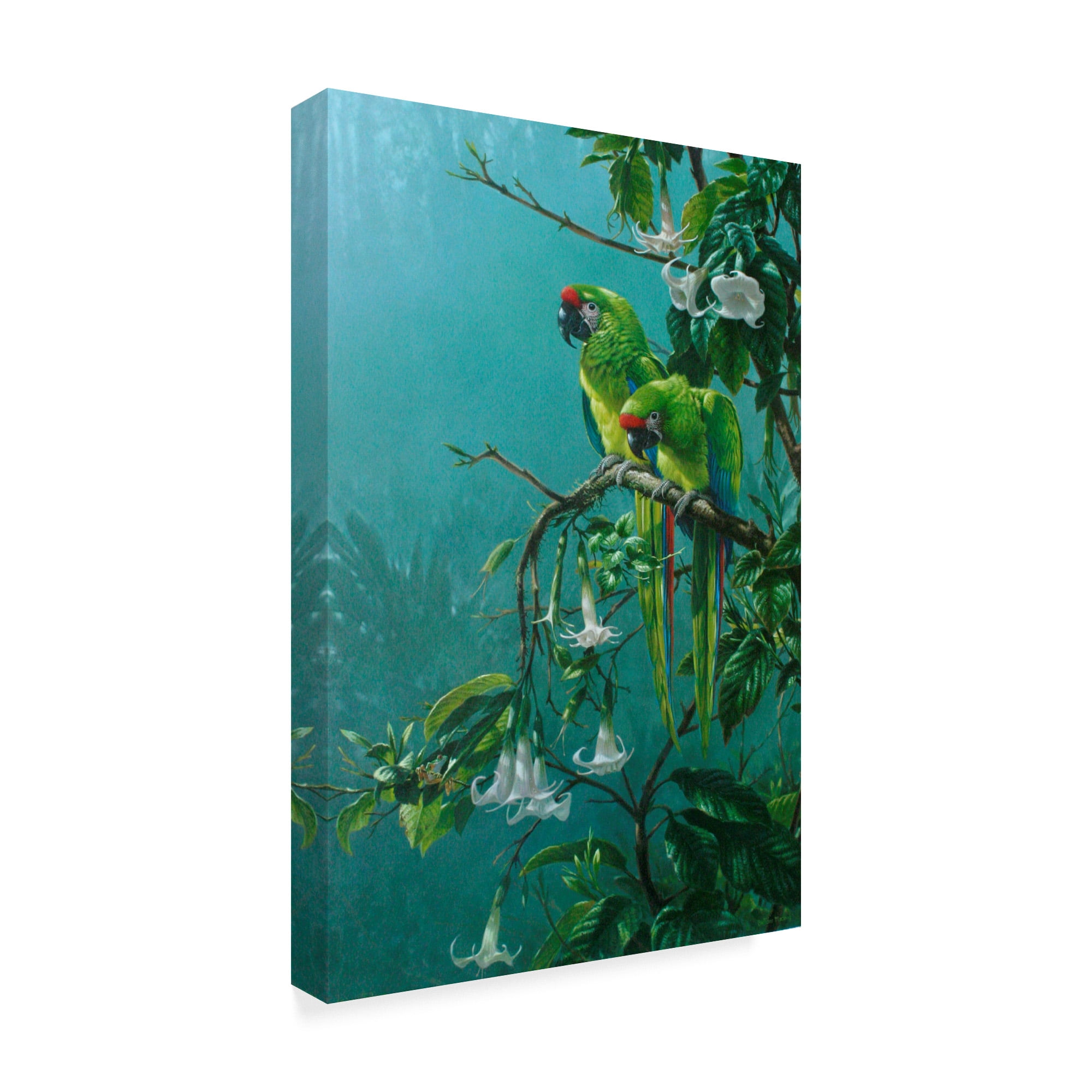 Trademark Fine Art 'Buffons Macaws' Canvas Art by Michael Jackson