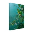 thumbnail image 2 of Trademark Fine Art 'Buffons Macaws' Canvas Art by Michael Jackson, 2 of 3