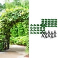 thumbnail image 4 of 50 Piezas Clip Conector de Plantas Zulema Reutilizable Tipo A, 4 of 8