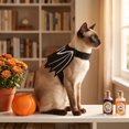 thumbnail image 2 of Clearance Pet Halloween Bat Wings Size S, Lightweight Felt Dog Costume for Cats and Dogs, Party Dress Up, 1 Pack, 2 of 5