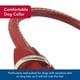 thumbnail image 3 of Collar para perro Coastal Circle T de cuero rojo 2,5 cm x 56 cm, 3 of 8
