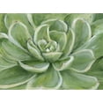 thumbnail image 2 of Art.com Green Succulent Art Print by Marilyn Dunlap, 32" x 24", 2 of 4