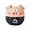 Yellow, variant on Cute Pig-Shaped Mechanical Kitchen Timer, for timing tasks in the kitchen and managing your daily schedule. Accurate timing from 0 to 60 minutes, no electricity required.,Pink