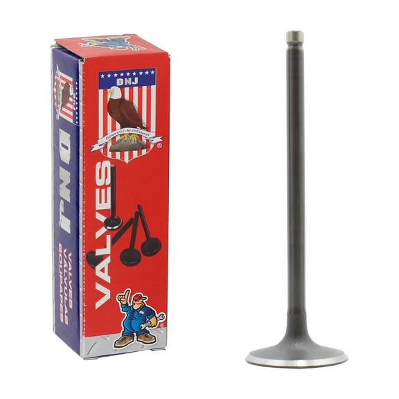 DNJ IV3125A Intake Valves Set Fits Cars & Trucks 80-95 Buick 3.8L-5.0L OHV