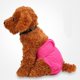 thumbnail image 1 of Pañale para Perro Pantalone anitario Femenino Ropa Interior Linda ,, L cinturo 12 "- 22" - roja Rose Salvador Pantalones fisiológicos para perros, 1 of 10