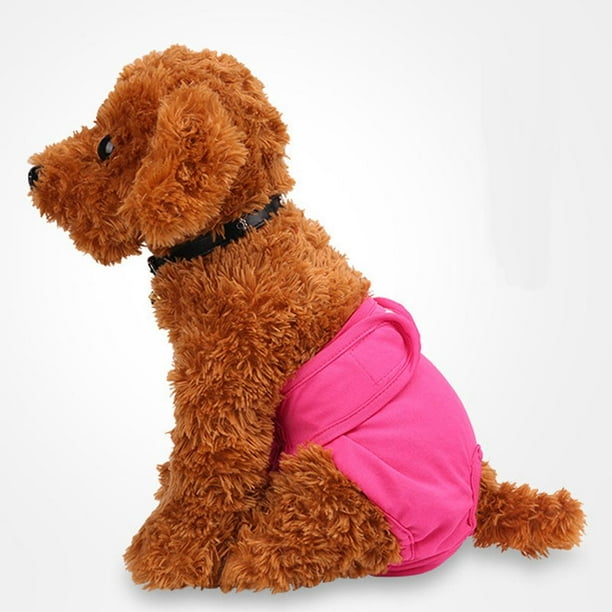 Pañale para Perro Pantalone anitario Femenino Ropa Interior Linda ,, L cinturo 12 "- 22" - roja Rose Salvador Pantalones fisiológicos para perros
