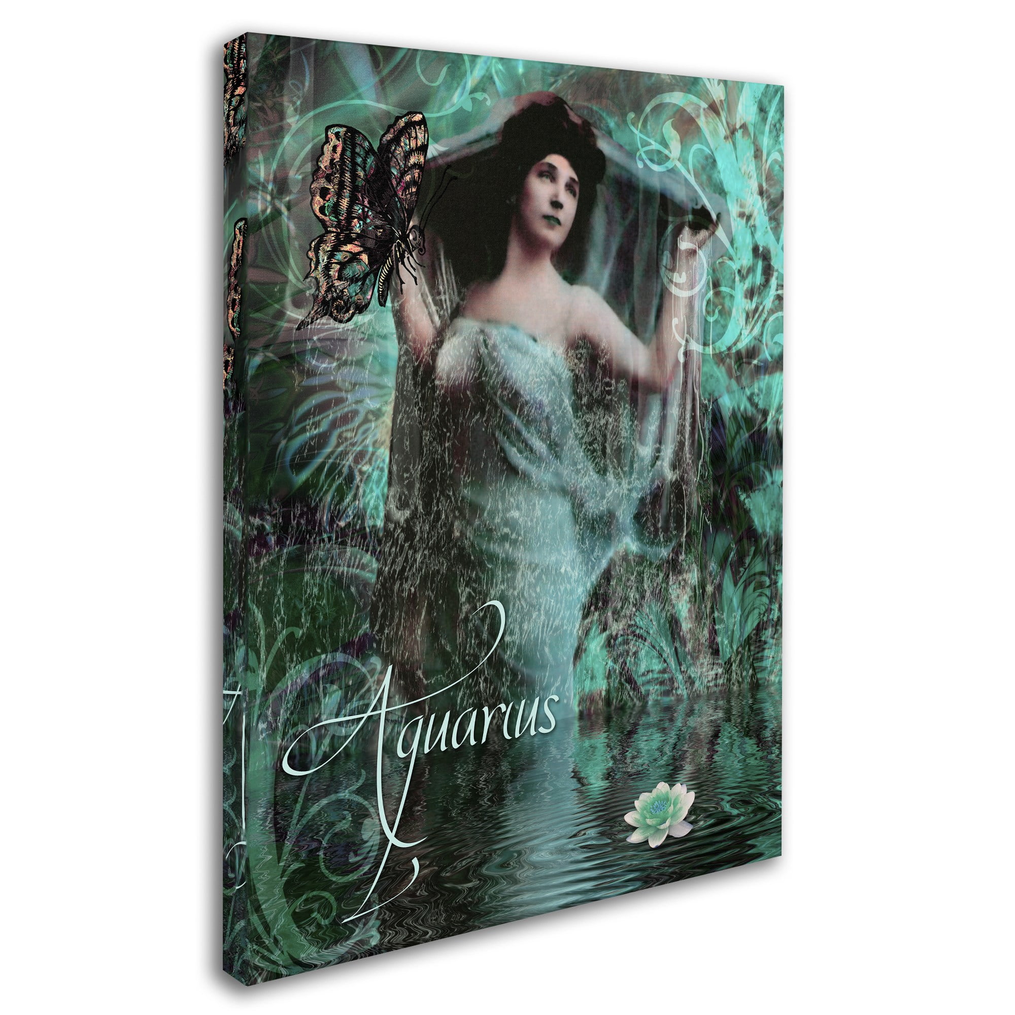 Trademark Fine Art "Art Nouveau Zodiac Aquarius" Canvas Art by Color Bakery