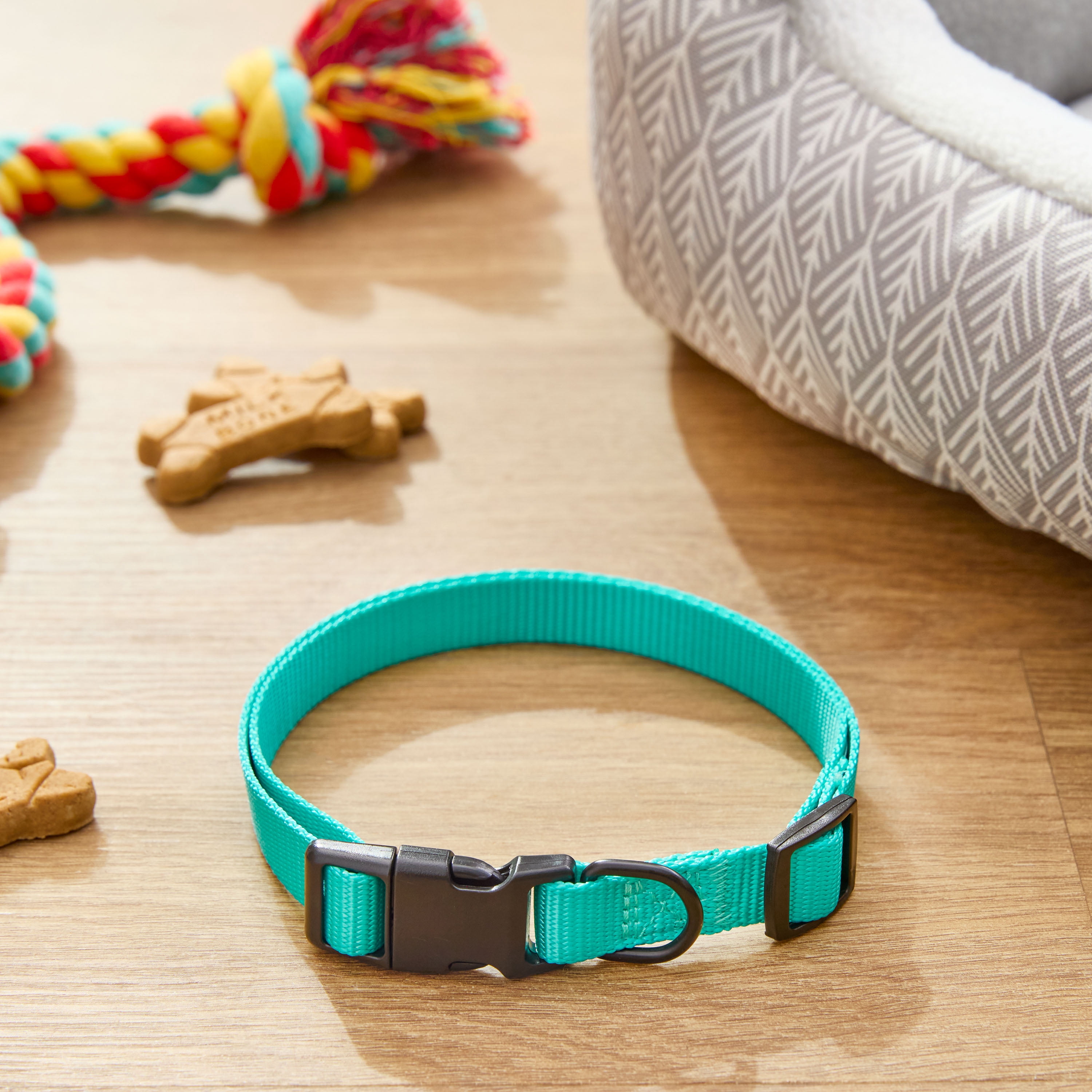 Vibrant Life Polyester Adjustable Dog Collar, Teal, M