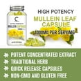 thumbnail image 5 of Greenpeople Mullein Leaf 1000mg, Support Respiratory System Health, Lung Cleansing and Detoxification, 120 Capsules, 5 of 6