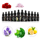 thumbnail image 1 of Kit De 12 Aceites Esenciales 100% Natural Para Difusor Y Spa Xtellar negro, 1 of 3