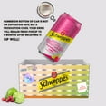 thumbnail image 3 of Schweppes Raspberry Lime Seltzer Water (12, 12oz cans) - Strawberry Mango Sparkling Seltzer Water (12, 12oz cans) - 24 Cans Total, 3 of 3
