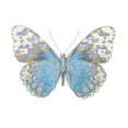 thumbnail image 2 of Bosco, Julia 14x12 White Modern Wood Framed Museum Art Print Titled - Buterfly with Indigo, 2 of 4