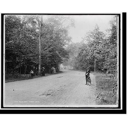 Historic Print, Belle Isle [Park], Forest Drive, 16" x 20"